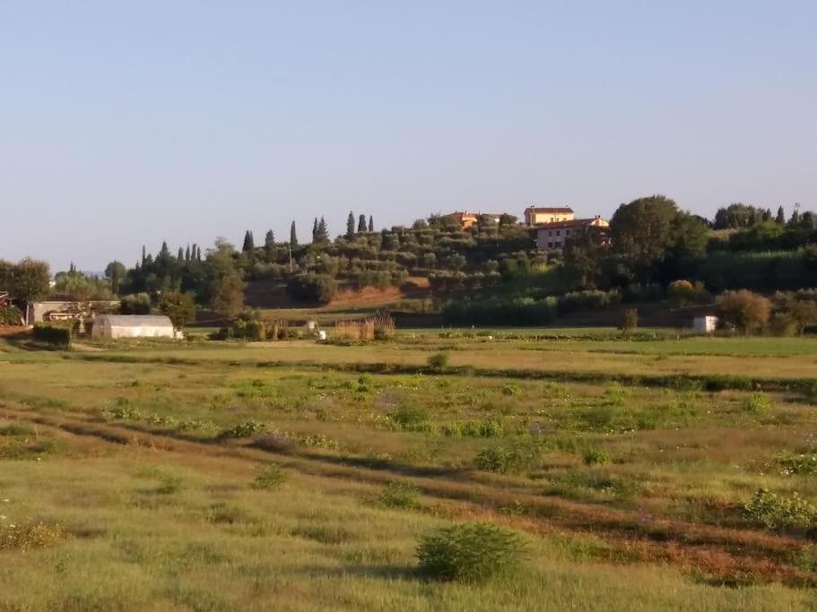 Podere Gian Battaglia Fucecchio Dış mekan fotoğraf