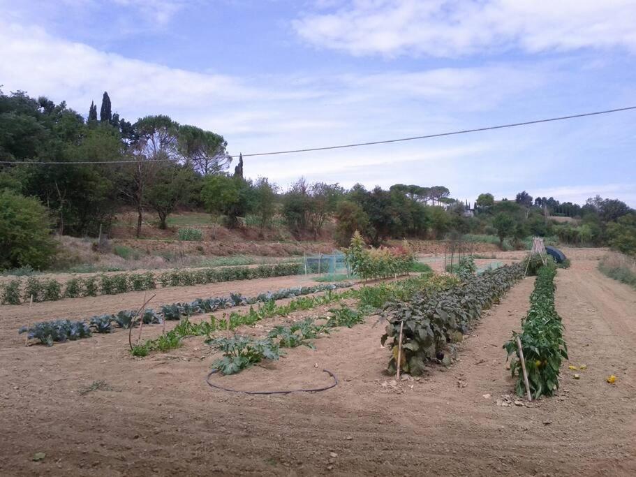 Podere Gian Battaglia Fucecchio Dış mekan fotoğraf