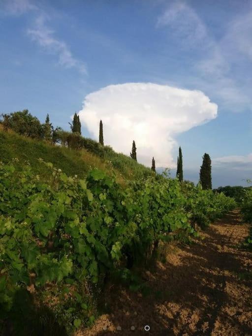 Podere Gian Battaglia Fucecchio Dış mekan fotoğraf