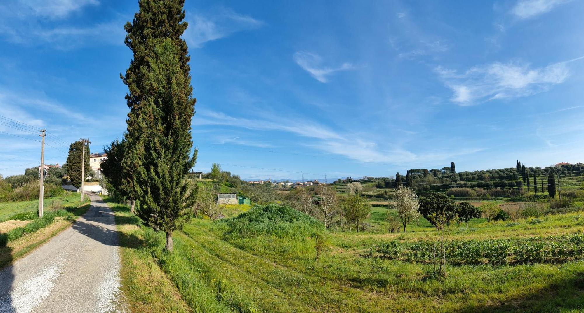 Podere Gian Battaglia Fucecchio Dış mekan fotoğraf