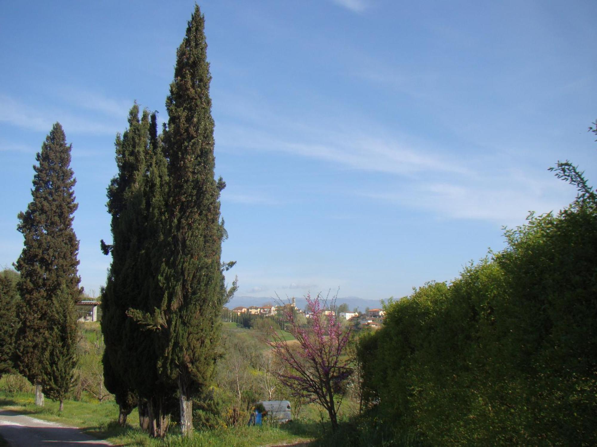 Podere Gian Battaglia Fucecchio Dış mekan fotoğraf
