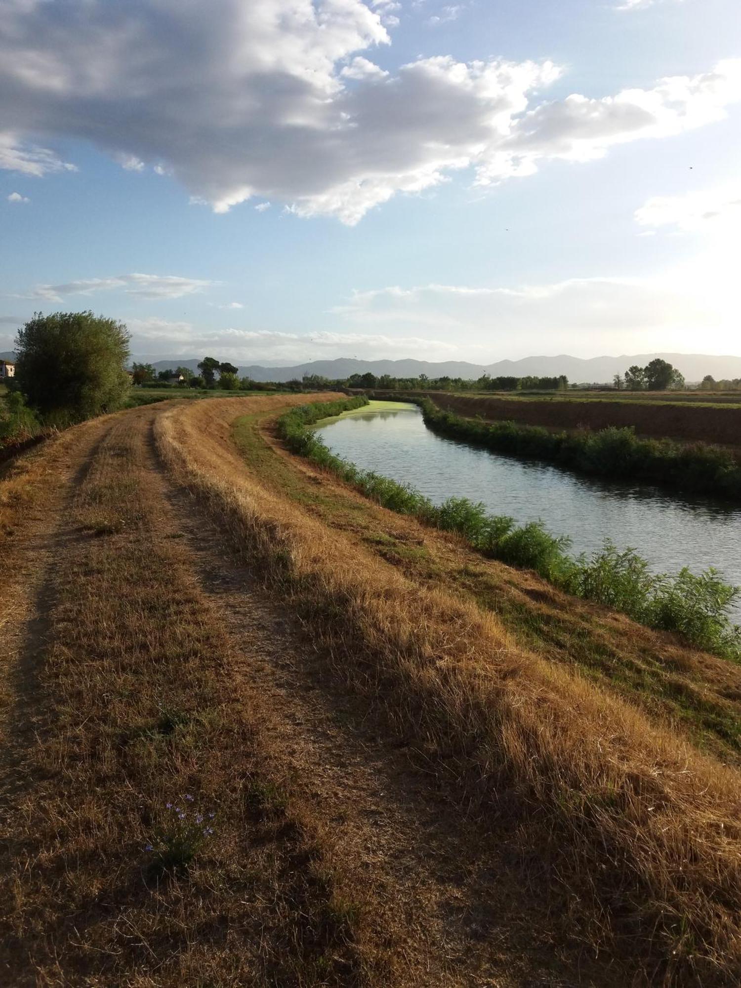 Podere Gian Battaglia Fucecchio Dış mekan fotoğraf