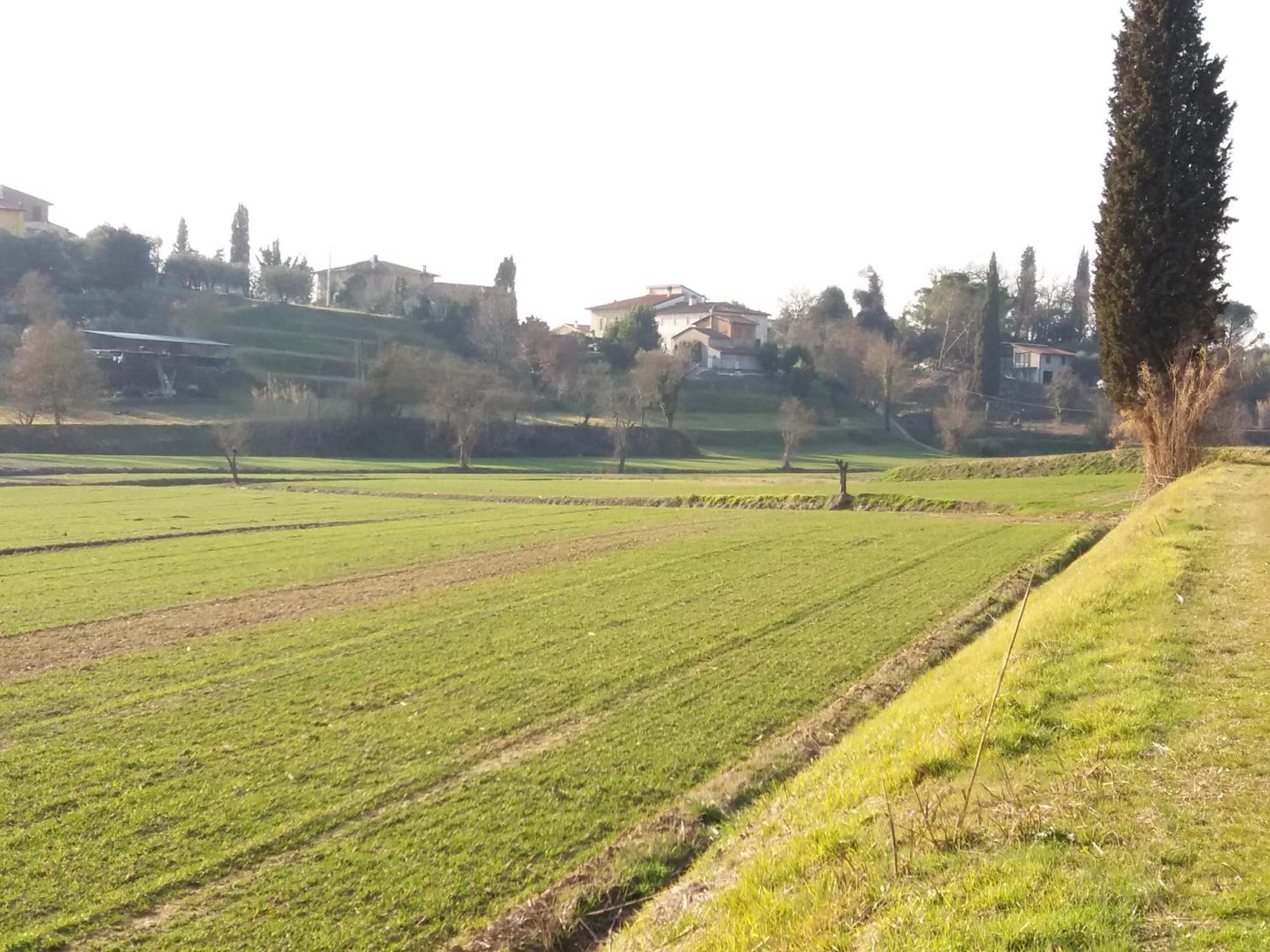 Podere Gian Battaglia Fucecchio Dış mekan fotoğraf