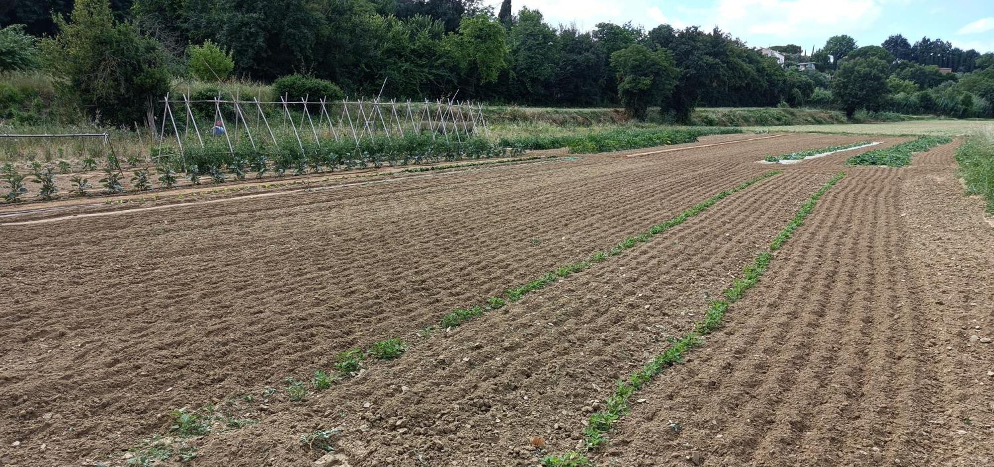 Podere Gian Battaglia Fucecchio Dış mekan fotoğraf