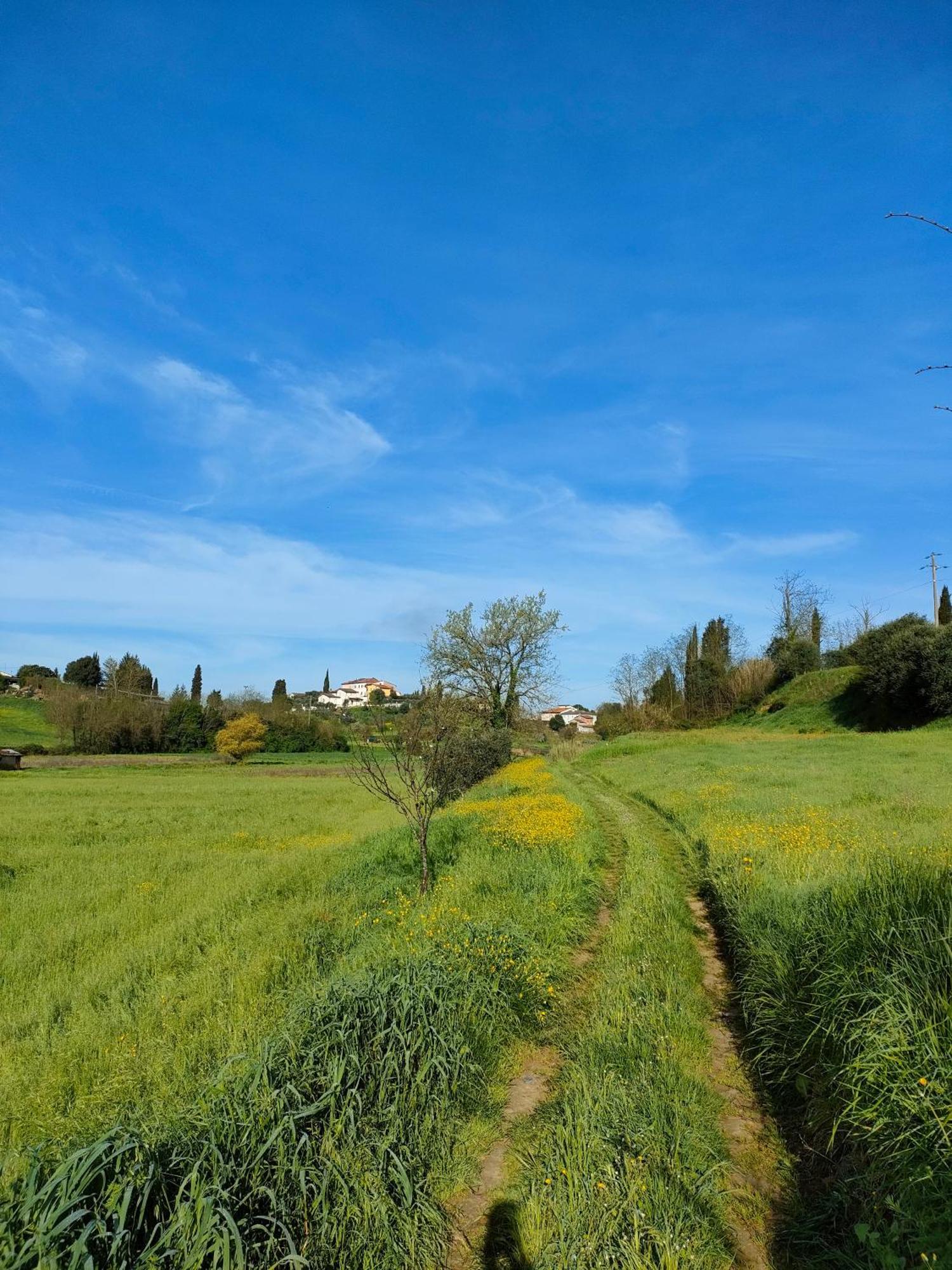 Podere Gian Battaglia Fucecchio Dış mekan fotoğraf